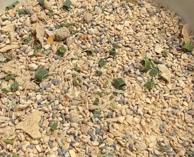 Close-up of the Roasted Garlic Sesame blend with sesame seeds, flakes and green scallion pieces