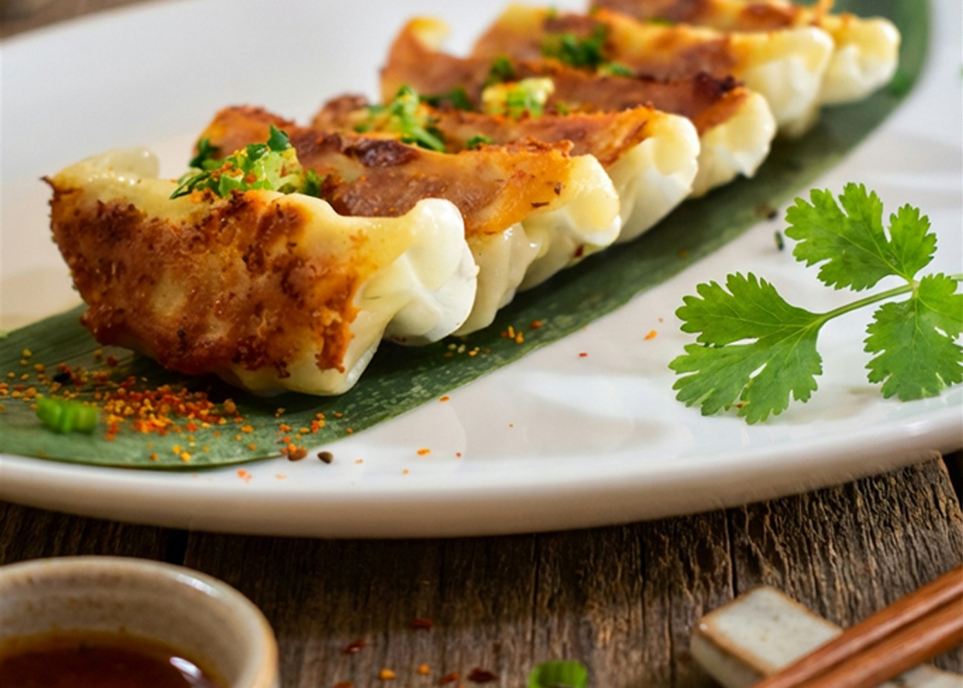 Tokyo Heat Dumpling Dip serving illustration